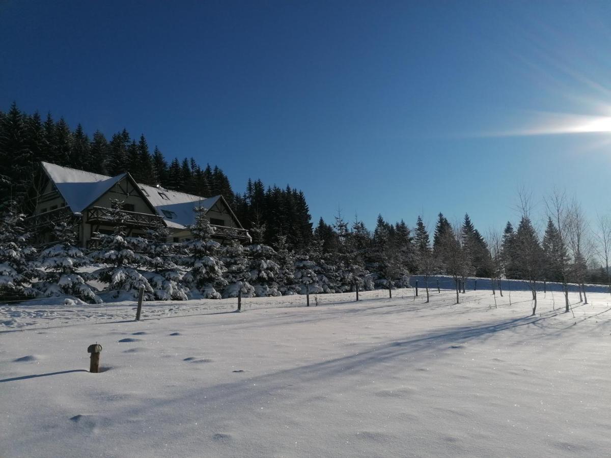 Gosciniec Janowa Gora -