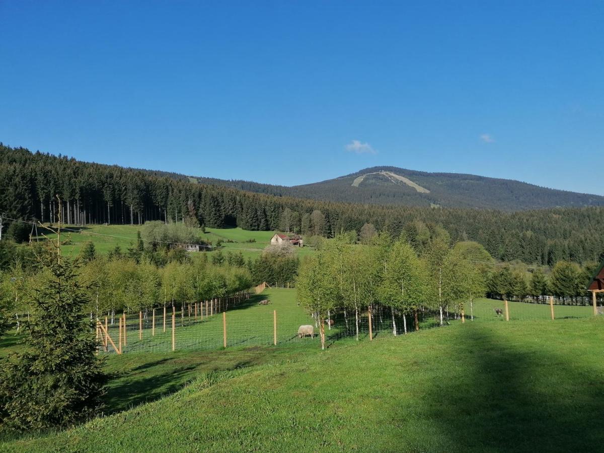 Gosciniec Janowa Gora -