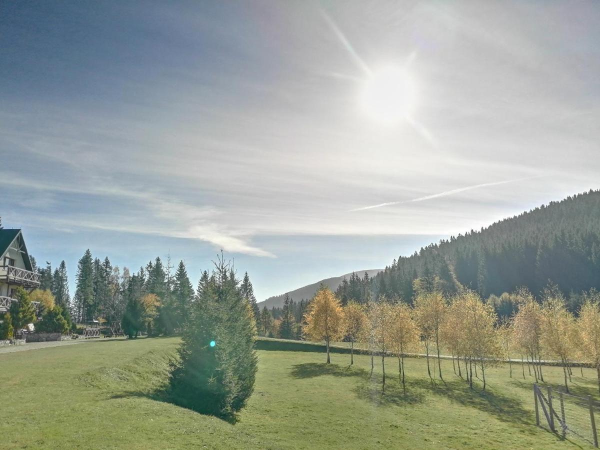 Gosciniec Janowa Gora - Landsteder *